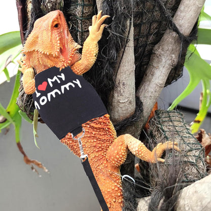 Small Animal Travel Backpack Carrier,Portable Bearded Dragon Bag for Sugar