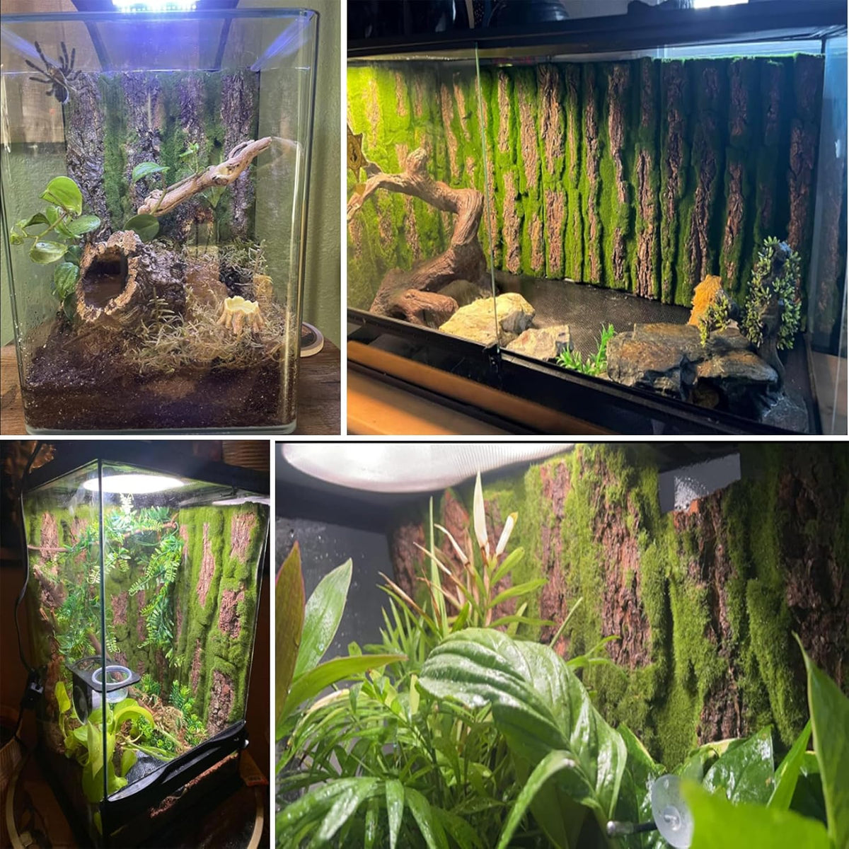 kathson Reptile Terrarium Cork Background,Bearded Dragon Tank Backdrop Wall Decor with Artificial