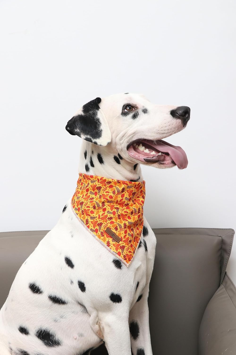 Lionet Paws Fall Dog Bandana for Small Medium Large Dogs, Cat Dog Kerchief Washable Dog Triangle