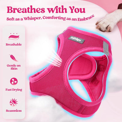 rabbitgoo Dog Harness Small Sized and Leash Set, Step in Soft Light Puppy Vest, Breathable Mesh Pet