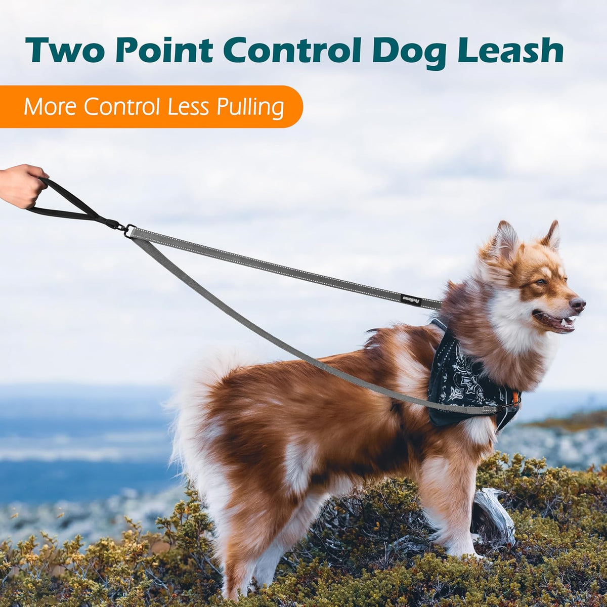 PetBonus Two Point Control Dog Leash, Works with No Pull Harnesses, No Tangle Dog Training Leashes