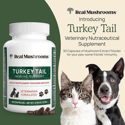 Real Mushrooms Turkey Tail Capsules for Pets –Cat Probiotics & Dog Vitamins – Organic Mushroom