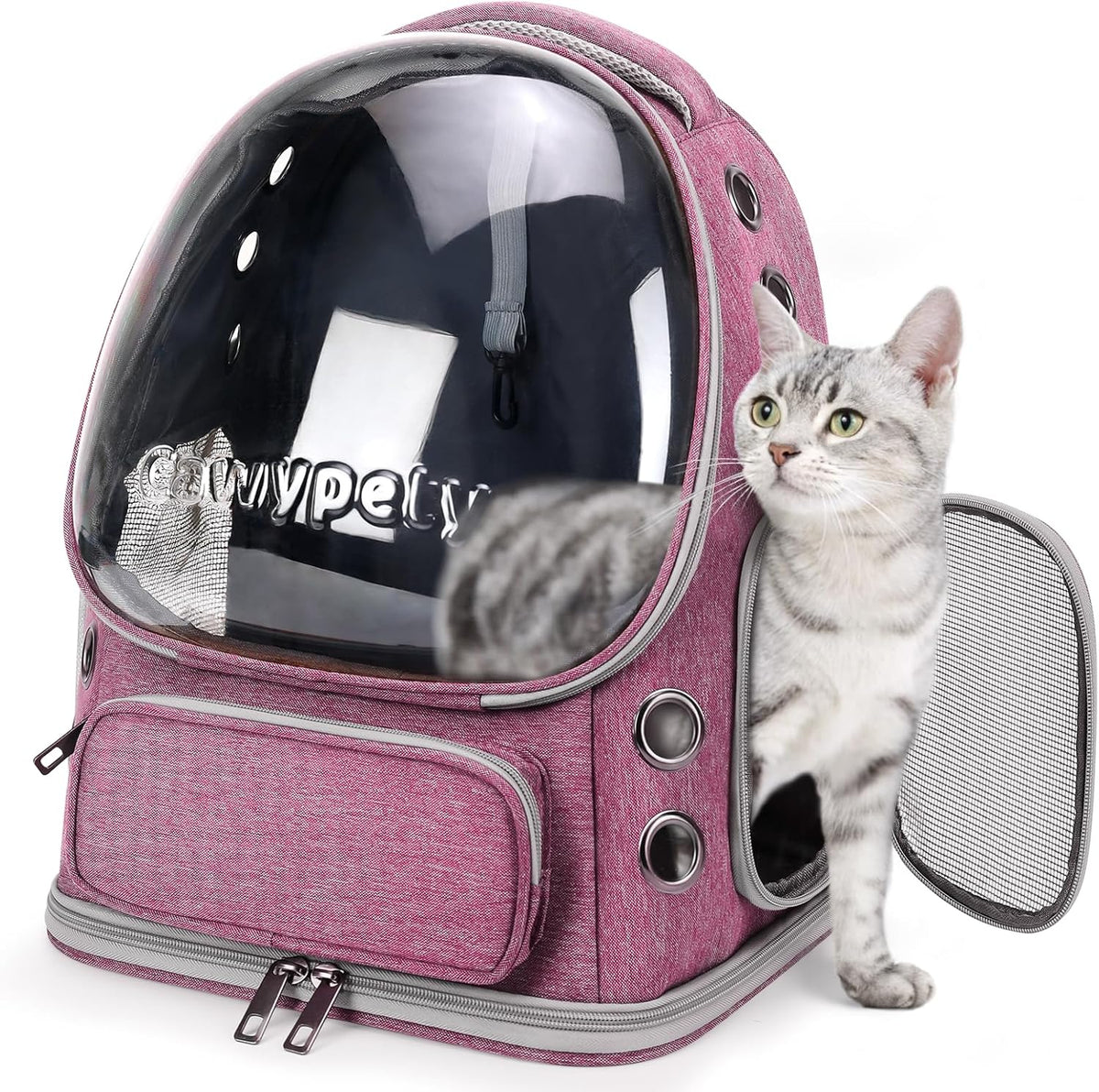 Cat Backpack Carrier, Breathable Cat Carrier Large Space Bubble Pet Backpack for Kitty Small Dog up