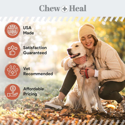 Fish Oil Omega 3 Supplements for Dogs -360 Soft Chew Treats for Skin and Coat -Salmon Oil Blend of