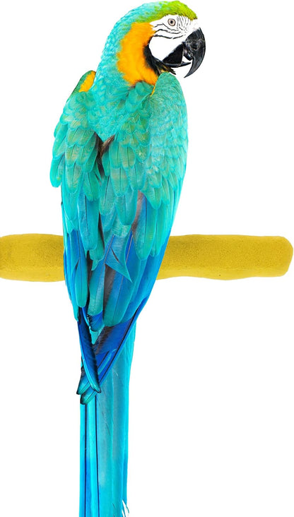 Comfort Grip Safety Perch for Bird Cages - Pedicure Perch for Birds to Keep Nails and Beaks in Top