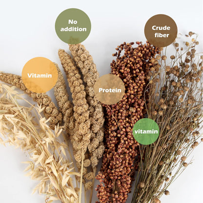 Natural Ear of Grain Flower&Herb Bedding Mate Habitat Decor, Adding Fun Hamster Accessories for