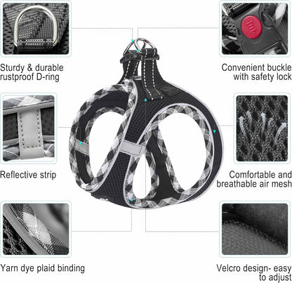 haapaw Dog Harness with Leash Set, No Pull Adjustable Reflective Step-in Puppy Harness with