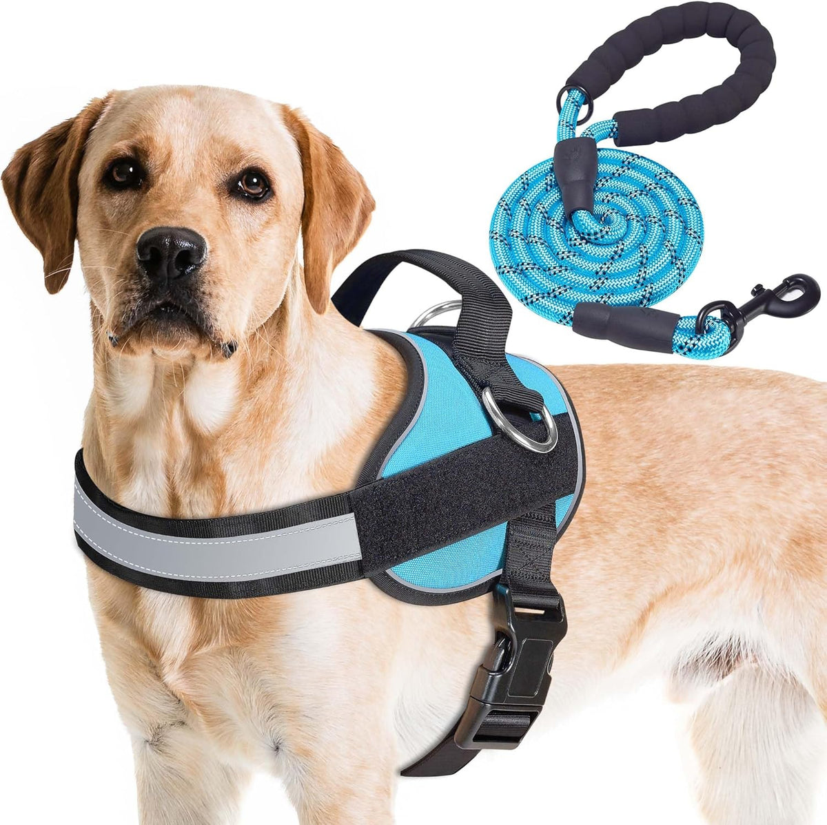 Haapaw Essential Dog Harness, No Pull Pet Vest with 3 Leash Clips, No Choke, Reflective, Adjustable