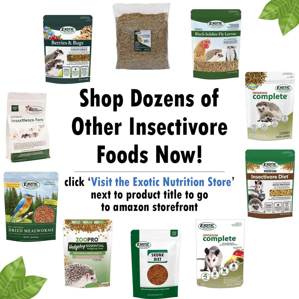 Berries & Bugs (10 lb.) - All Natural High Protein High Fiber Insectivore Diet with Fruit