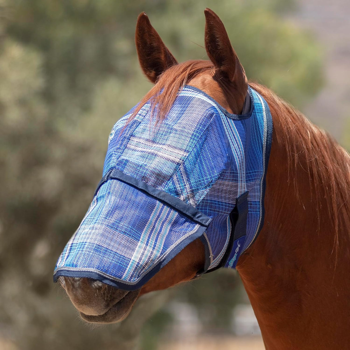 Kensington Signature Fly Mask with Removable Nose — Protects Horses Face and Nose from Biting