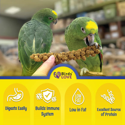 Birds LOVE Economy & Thin Special Spray Millet – 5 lb GMO-Free, No Stems (Only Edible Tops)