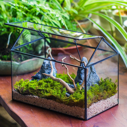 NCYP House Shape Glass Terrarium with Acrylic Lid - 10.2x5.9x8.2 Inches Large Geometric Box for