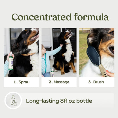 PAWFUME Skin & Coat Detangler Spray for Dogs, 4-Pack – Soothe Dry, Itchy Coats Quickly – Non-Toxic