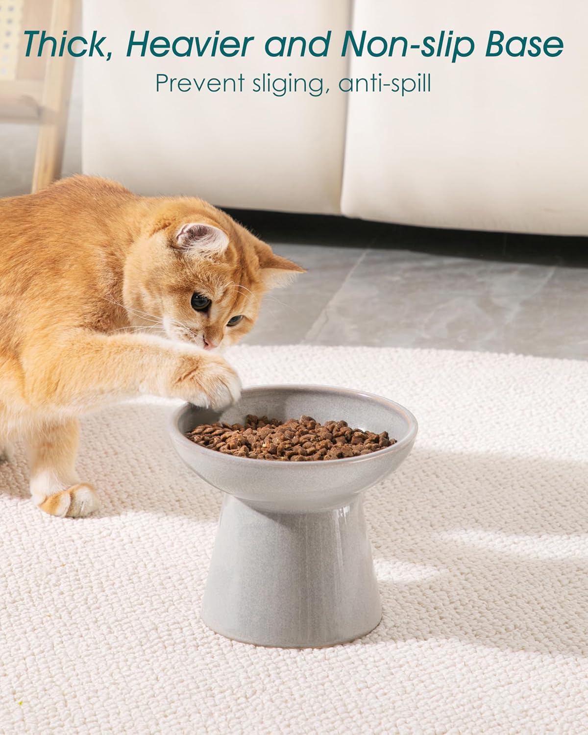 vancasso Ceramic Elevated Cat Bowls 2-Pack - 6.2" Extra Wide Raised Cat Food & Water Dishes, 5.1"
