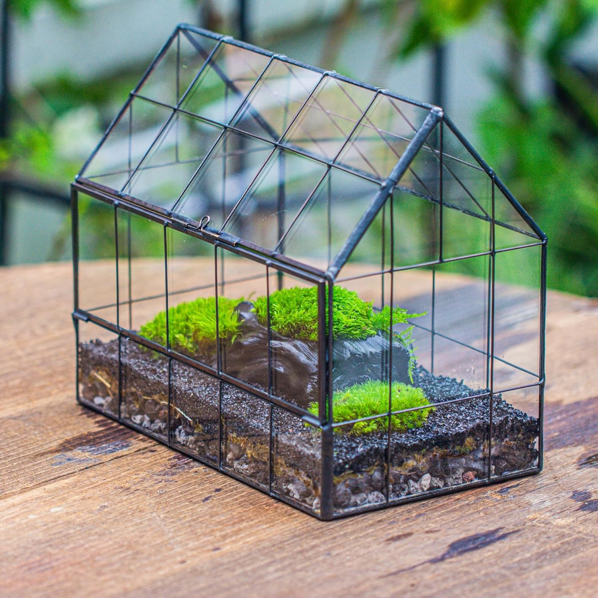 NCYP Geometric Glass Terrarium with Front Opening Door, House Shape Closed Micro Landscape Planter