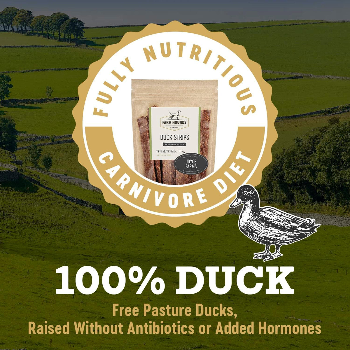 Farm Hounds - Duck Strips - Premium Natural Jerky for Dogs - Made from 100% Humanely Raised Duck
