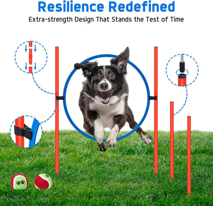 Polar Aurora Dog Agility Equipment, Dog Obstacle Courses Backyard - Pet Outdoor Games w/Adjustable