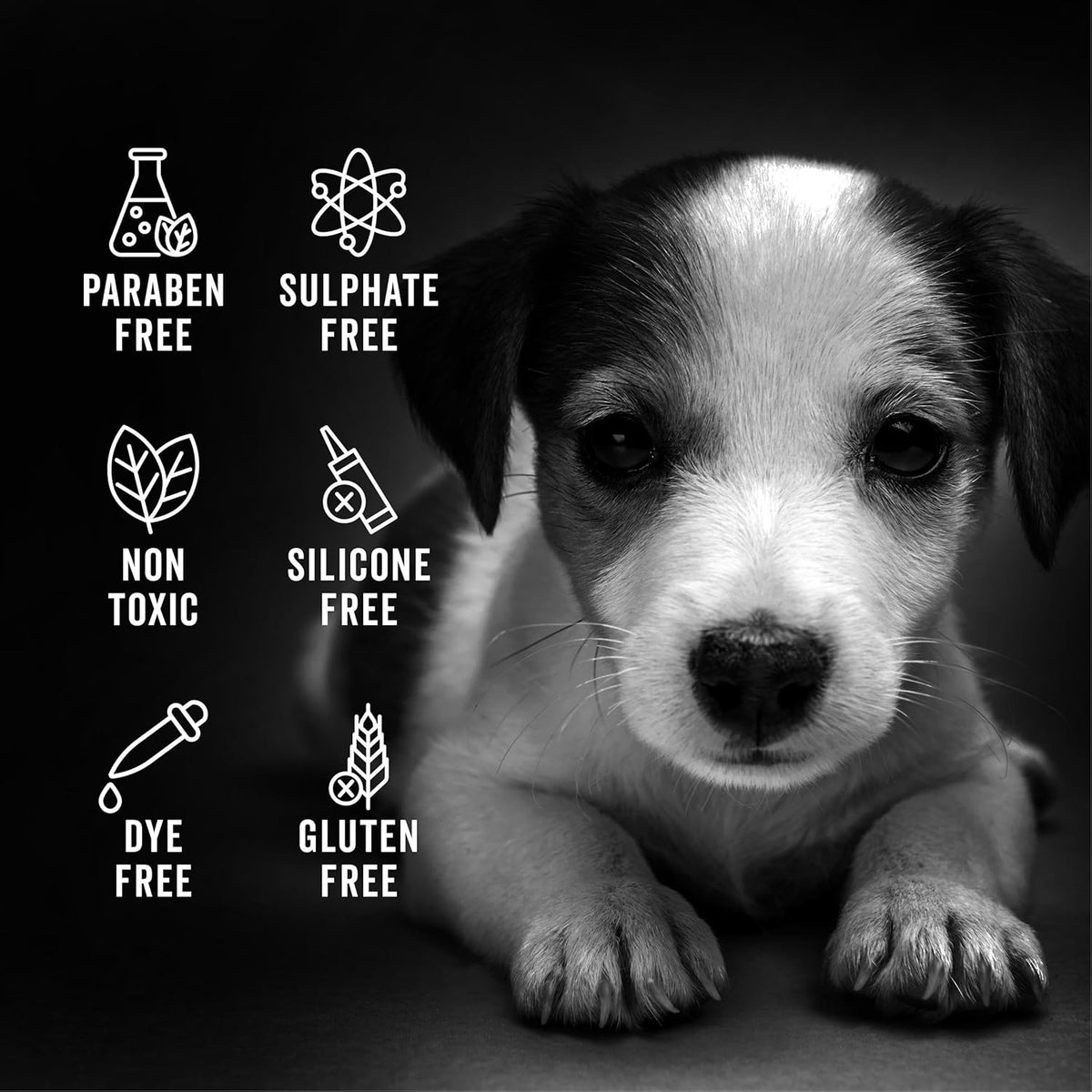 Pride and Groom The Sensitive One Box Set – Dog Shampoo & Conditioner with All Natural Blend of