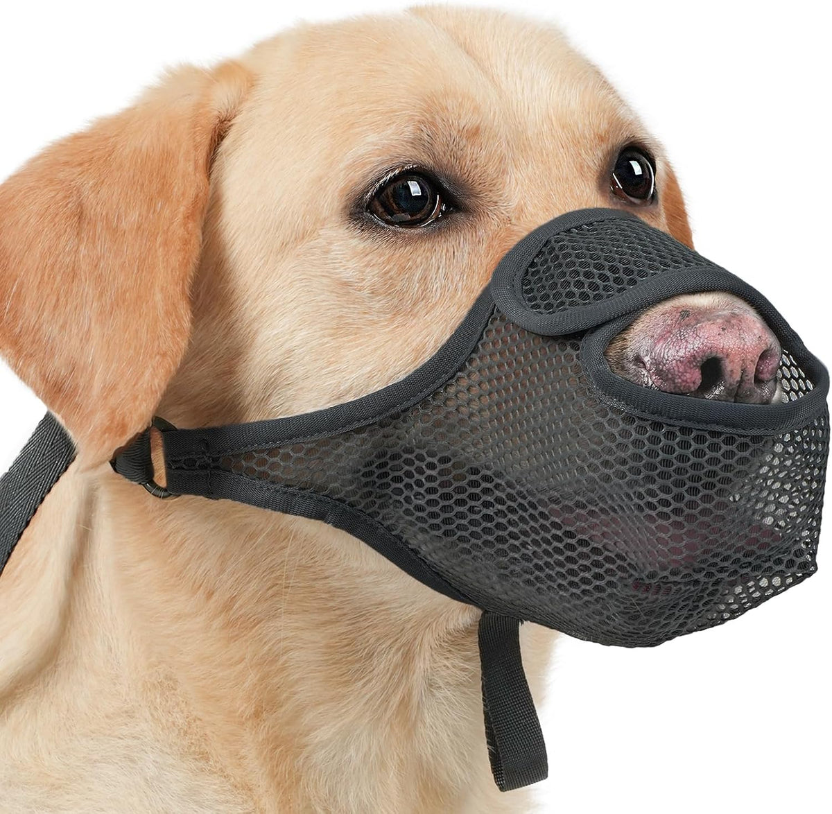 LUCKYPAW Dog Muzzle for Large Medium Small Dogs, Patented Mesh Muzzle to Prevent Biting Chewing
