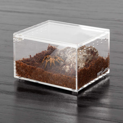 REPTI ZOO Magnetic Acrylic Case 4.1"x3.3"x2.5" Nano Enclosure Reptile Breeding Box Terrarium Cage