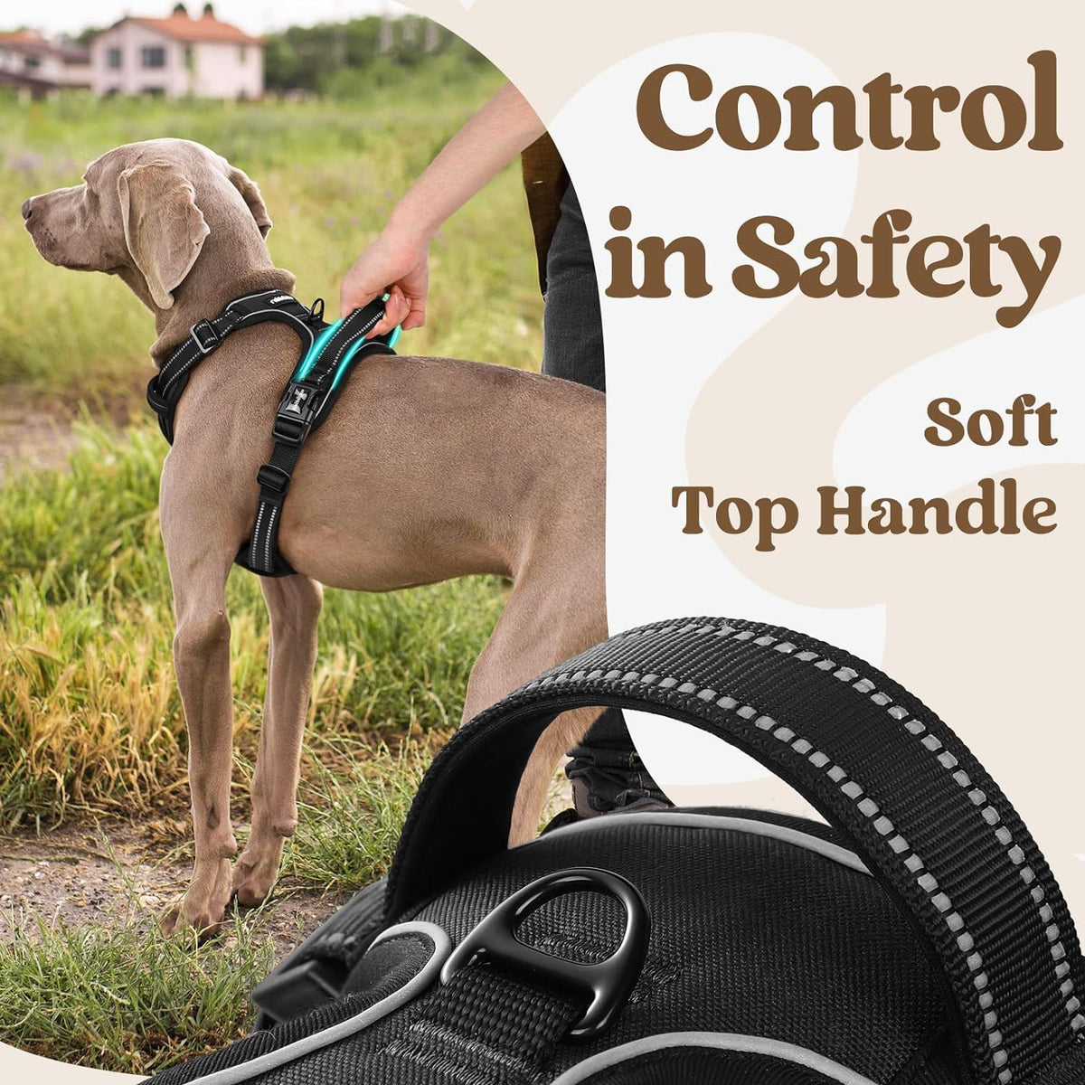 rabbitgoo Dog Harness Medium Sized, No Pull Pet Harness with 3 Buckles, Adjustable Soft Padded Vest