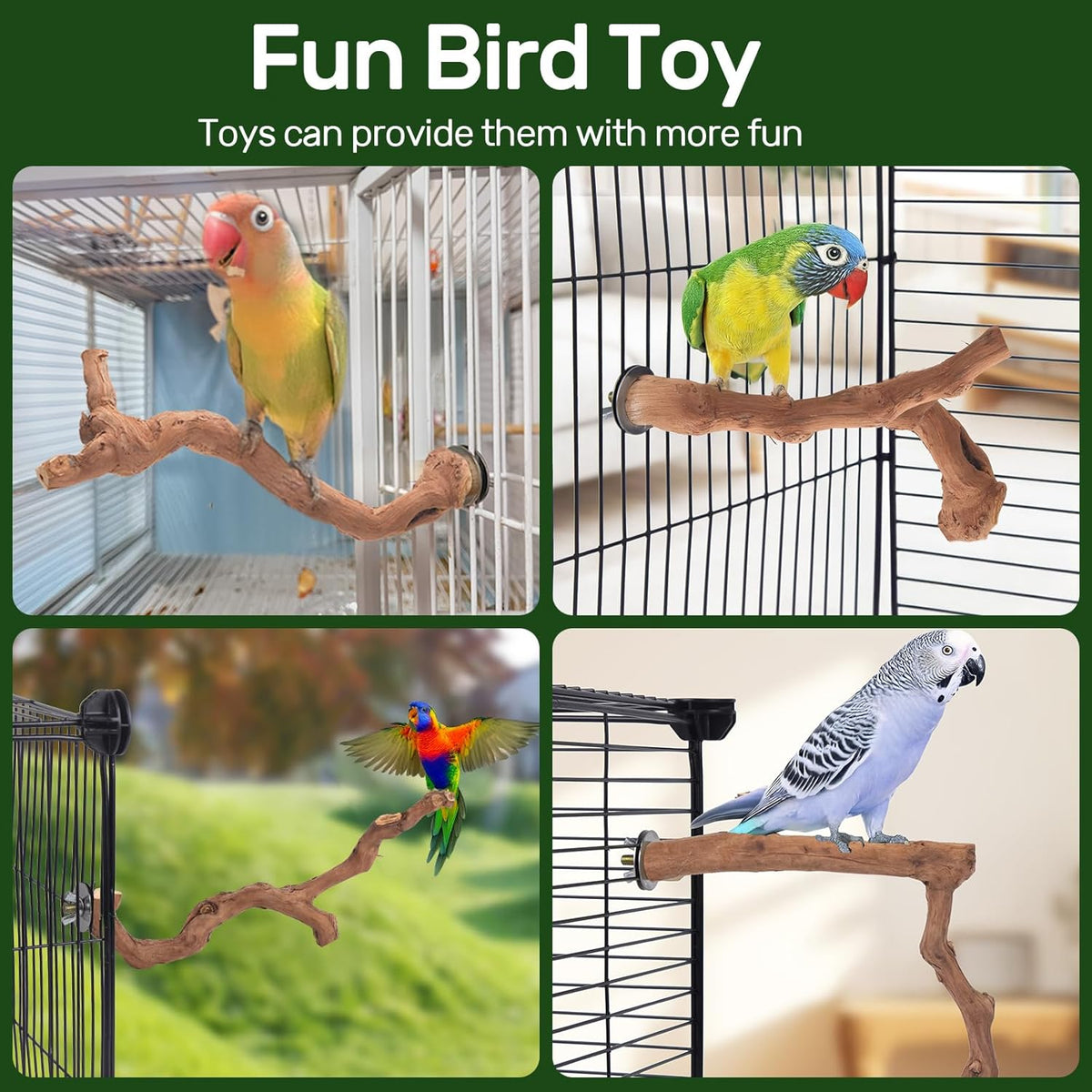 6-Piece Premium Bird Perch Stand with Natural Grape Wood Branch, Paw Grinding Fork, Chewing Stick