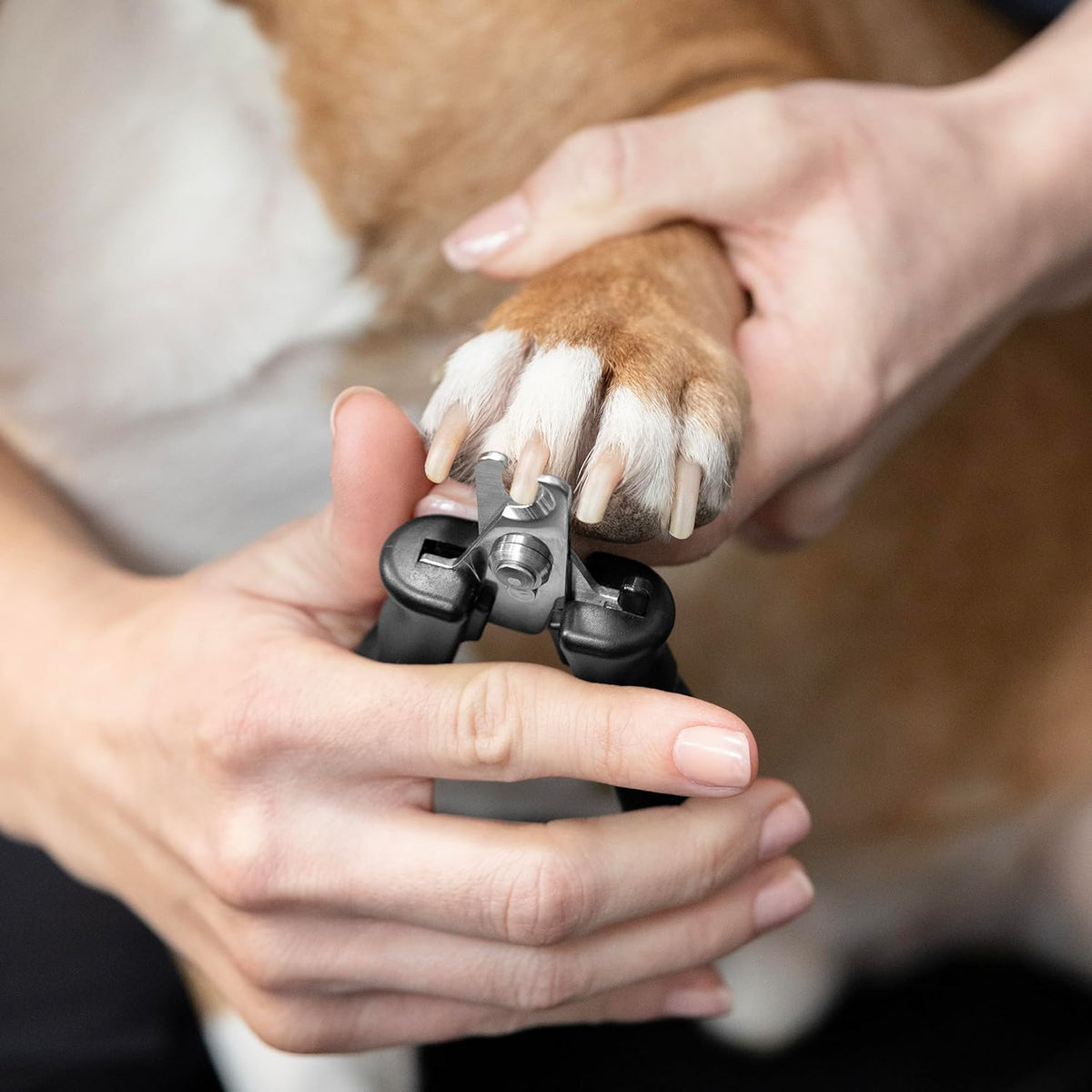 Tweezerman Small Nail Clippers for Dogs & Cats, Manual Professional Dog & Cat Nail Trimmer with
