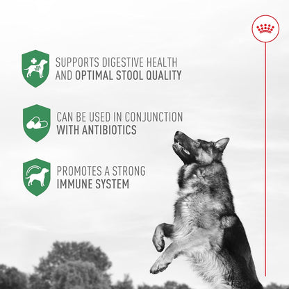 Royal Canin Probiotics for Dogs Digestive and Immune Health Powder Supplement for Dogs of All Ages