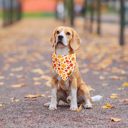 Fall Dog Bandanas - 2 Pack Halloween Thanksgiving Dog Bandana | Reversible Pumpkin and Leaf Pet