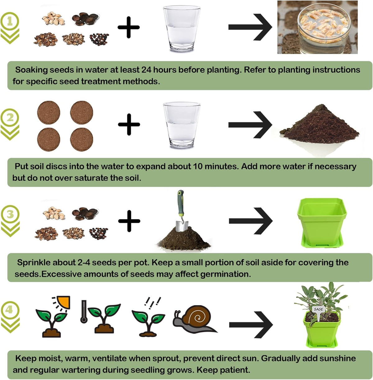 10 Herb Seeds Garden Starter Grow Kit with Green Pots, Markers, Nutritional Soil, Watering, Herb
