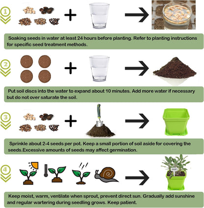 10 Herb Seeds Garden Starter Grow Kit with Green Pots, Markers, Nutritional Soil, Watering, Herb