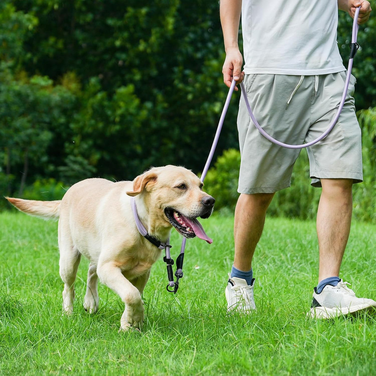 Rope Dog Leash, 6 Foot Heavy Duty Dog Leash with Aviation Aluminum Auto Locking Carabiner, Strong