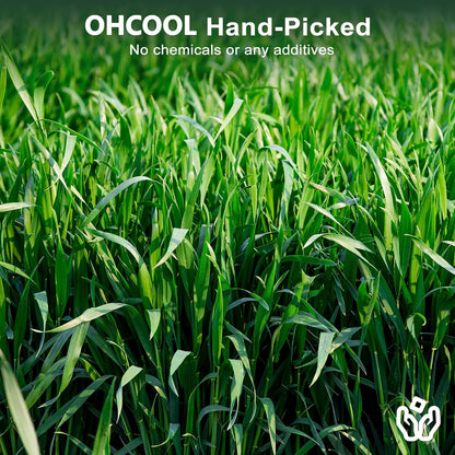 Premium Oat Hay for Pets - Dust Free Natural Green Fresh Pet Food Hay for Rabbits, Guinea Pigs