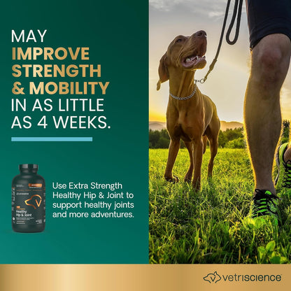 VetriScience Glycoflex 3 Clinically Proven Hip and Joint Supplement for Dogs - Maximum Strength Dog