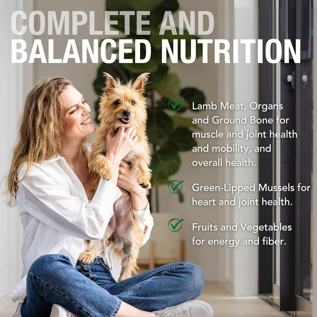 K9 Natural Wet Dog Food Pate, Lamb Feast, 6 Oz Cans (Pack of 12), Grain Free, Made in New Zealand