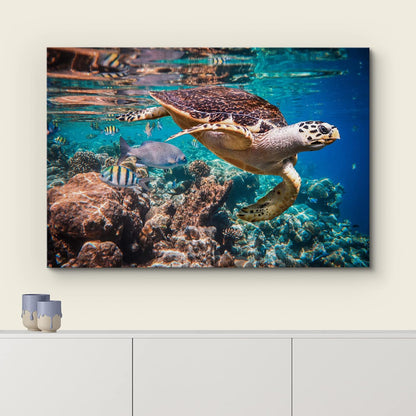 wall26 Canvas Print Wall Art Tropical Turtle Coral Reef Deep Sea Dive Nature Animals Photography