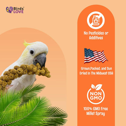 Birds LOVE Wholesome & Lovely Spray Millet Non-GMO (No Stems Only Edible Tops) for Parrots Birds