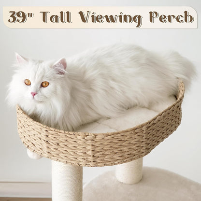 KAMABOKO Modern Cat Tree, 39" Tall Cat Trees for Indoor Cats, Cat Condo Natural Sisal with