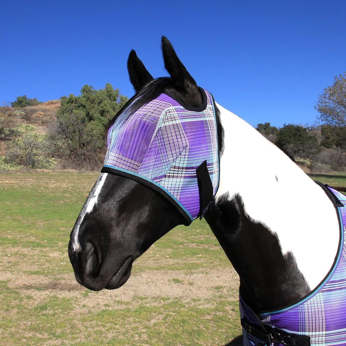 Kensington Fly Mask Web Trim Protects Horses Face and Eyes from Bites and Sun Rays While Allowing