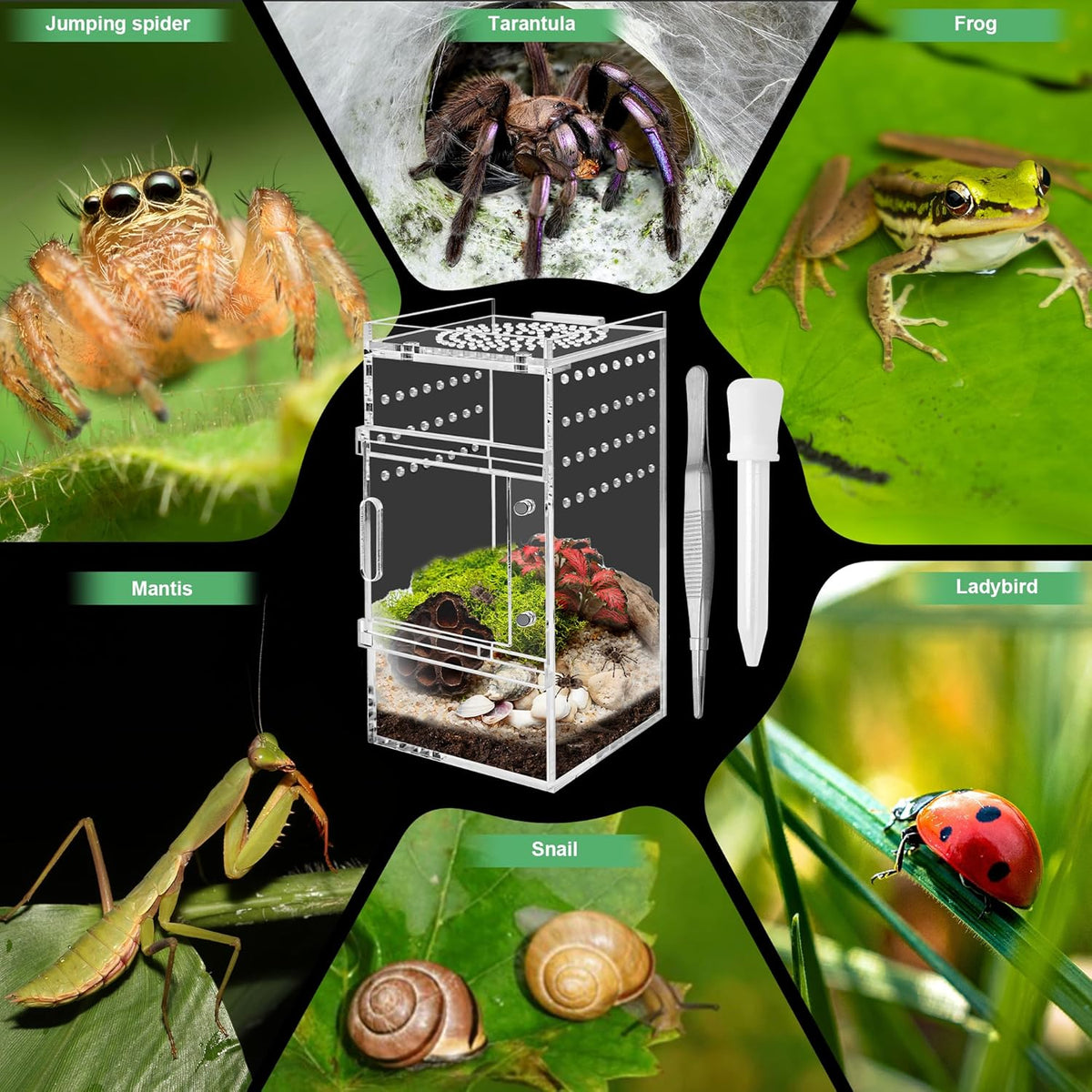 Jumping Spider Enclosure, 3x3x6 Inch Jumping Spider Habitat with Magnet Opening Door Jumping Spider