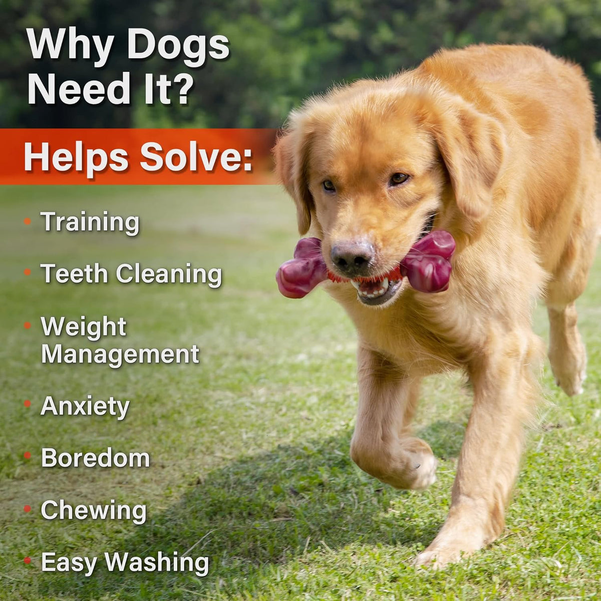 Apasiri Dog Toys for Aggressive Chewers Large Breed 2-Pack: Heavy Duty Chew Toys for Medium Dogs