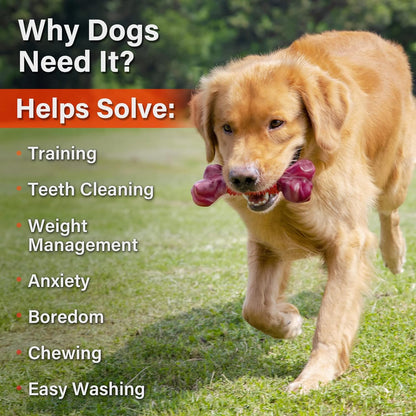 Apasiri Dog Toys for Aggressive Chewers Large Breed 2-Pack: Heavy Duty Chew Toys for Medium Dogs