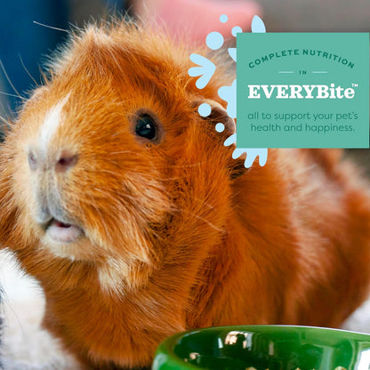 Oxbow Essentials Guinea Pig Food, Young, Made Alfalfa Hay for Guinea Pig, Pet Food Pellets with