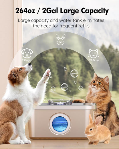 Dog Water Fountain 2 Gal, Stainless Steel Dog Water Fountain for Large Dogs Multi-Cats, Pet Water