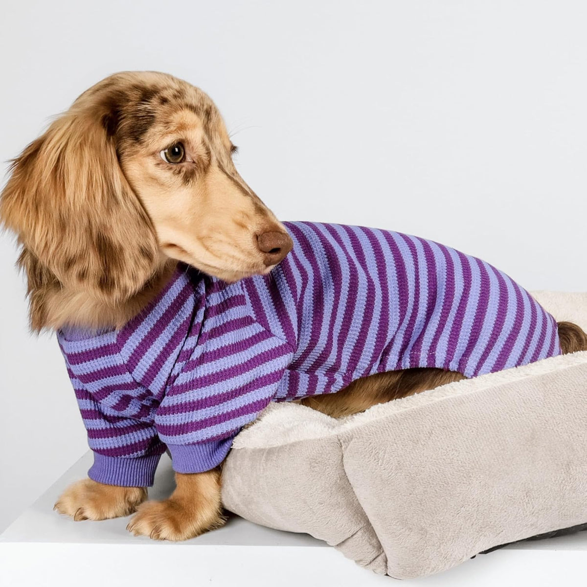 Fitwarm Purple and Violet Striped Dog Pajamas, Waffle Dog Clothes for Small Dogs Girl Boy, Puppy