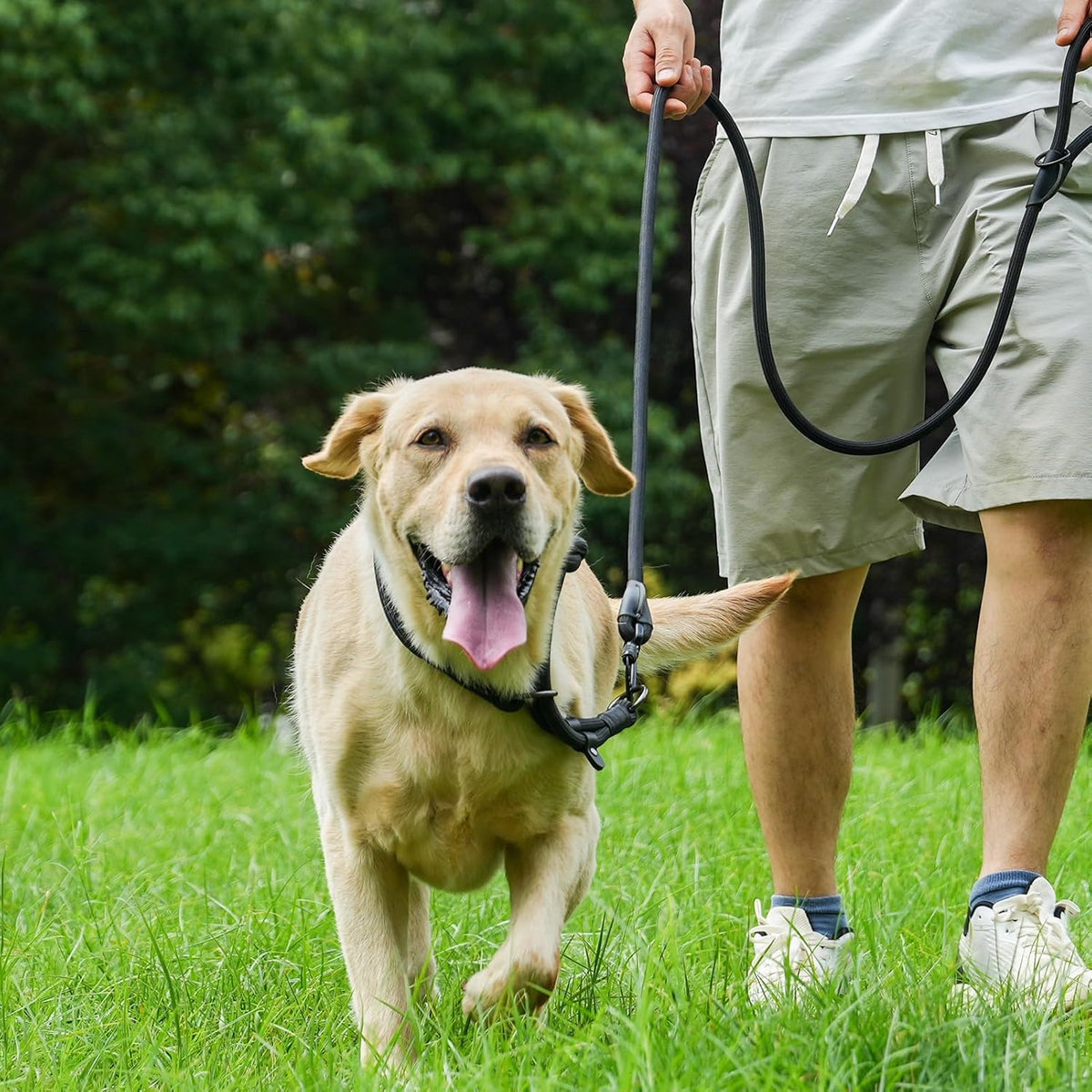Rope Dog Leash, 4 ft Heavy Duty Dog Leash with Aviation Aluminum Auto Locking Carabiner, Strong