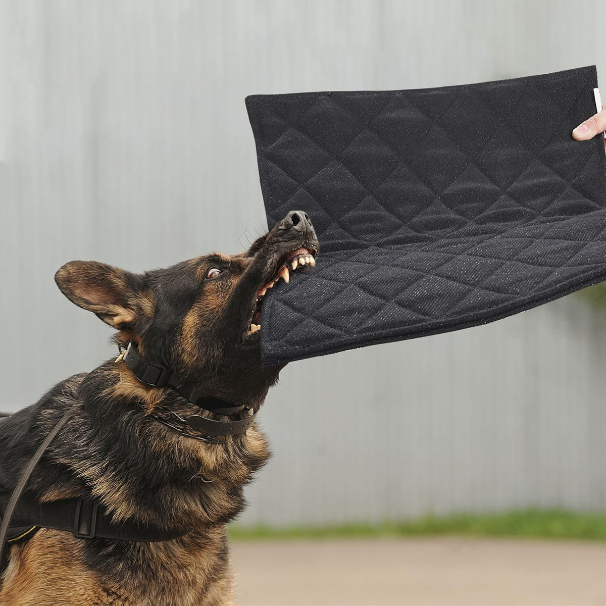 MABOZOO Indestructible Dog Bed, Chew Proof Crate Pad for Aggressive Chewers, Machine Washable