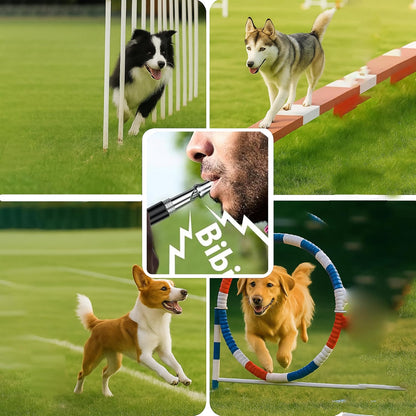 Ami's Delight Dog Whistle Set of 5 | 2PCS Premium Quality Adjustable Dog Whistles with 2 Black