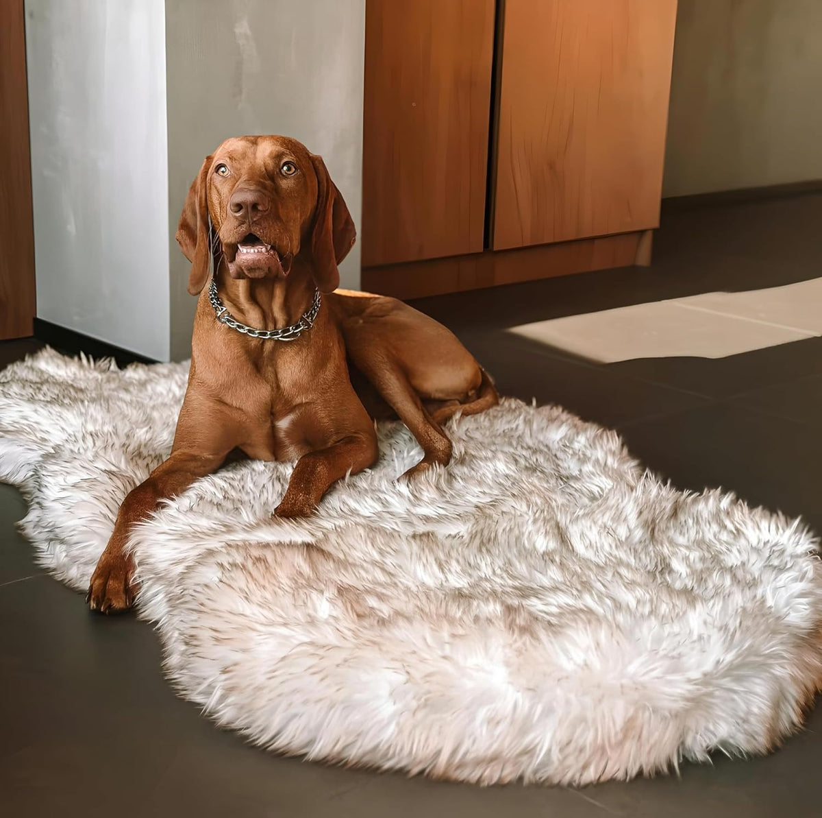 IHAPPYDOG Luxury Faux Fur Orthopedic Dog Bed, Memory Foam Dog Bed for Small, Medium, Large and XL