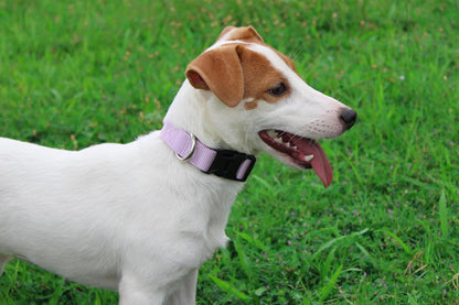 Mikivery Nylon Dog Collar with Quick Release Buckle Soft Adjustable Sturdy for Small Medium Large